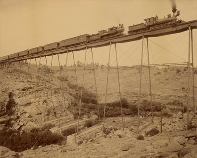 Dale Creek Bridge de William Henry Jackson